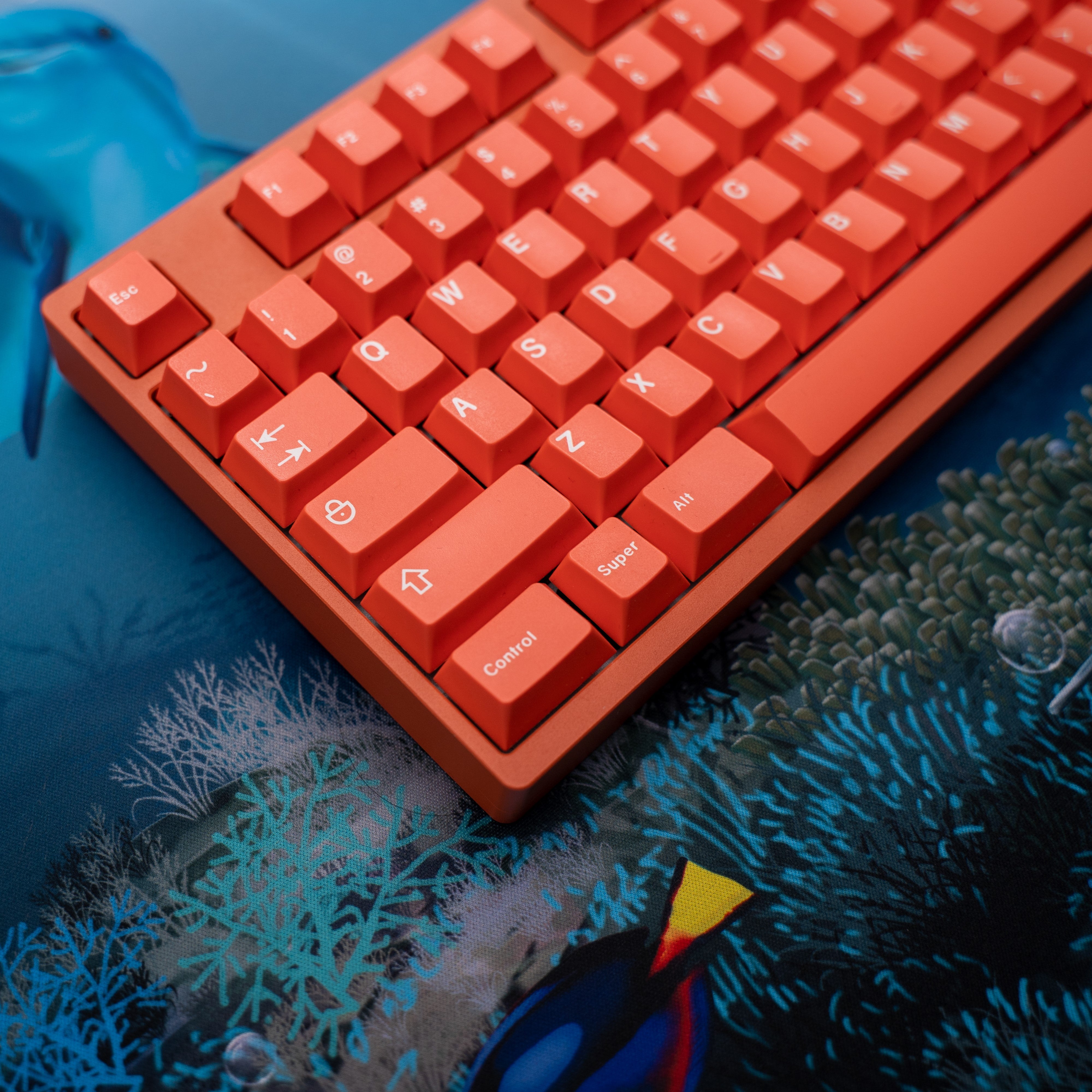 GMK Coral R2 – Mekibo