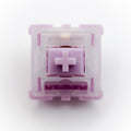 Popu Switches