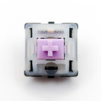 Gateron Minks Switches
