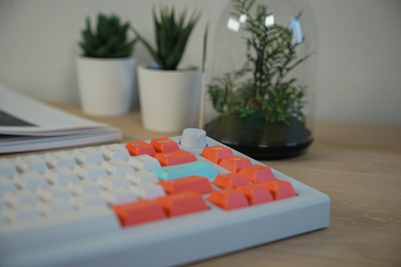 Chapter 1 Exploded 65% (In-stock)